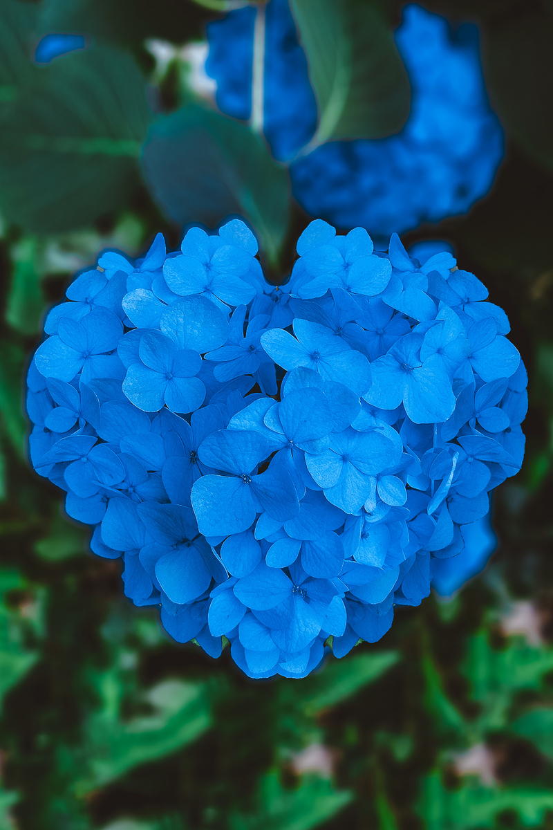 f:id:ERICA3:20190705174403j:plain