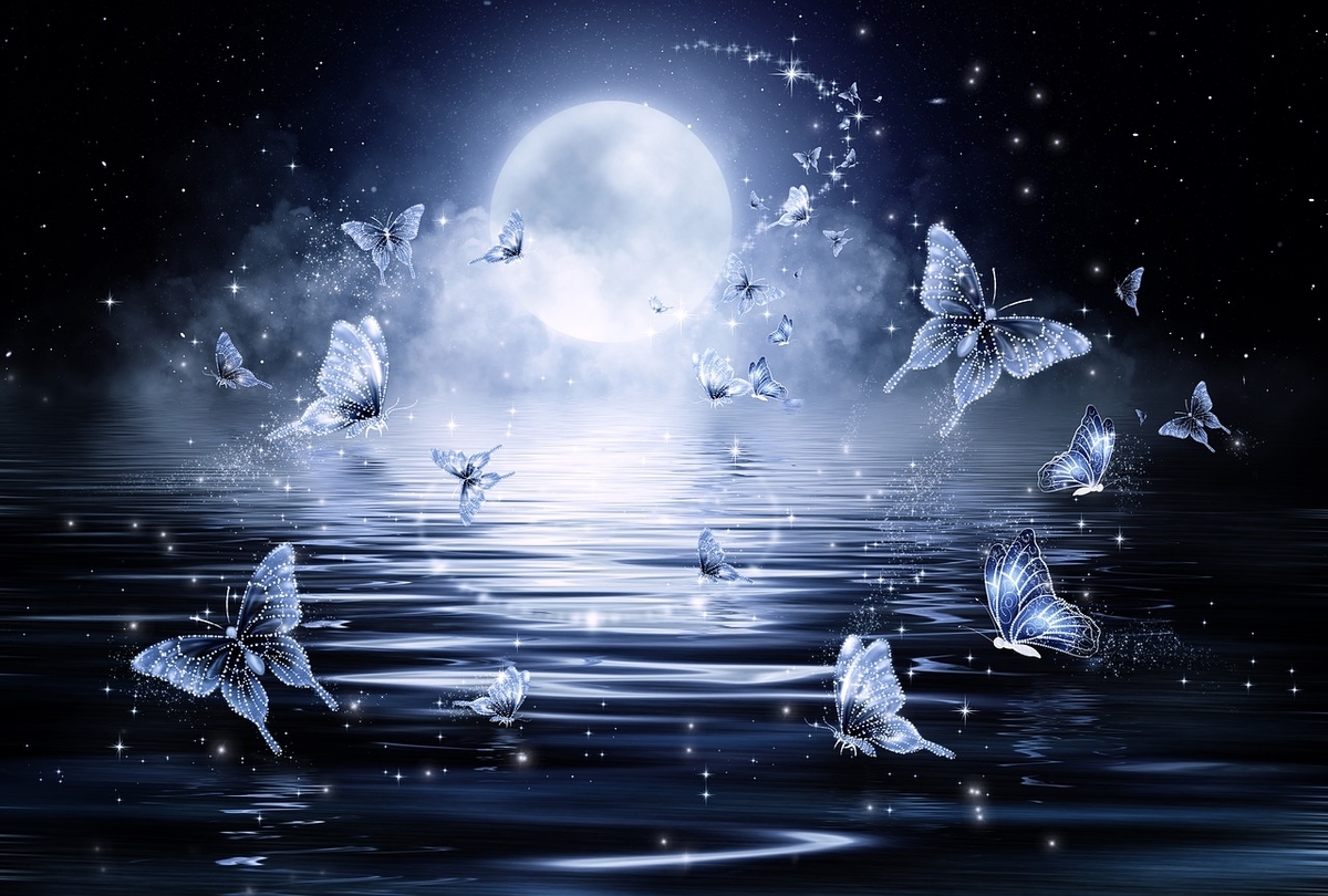 f:id:ERICA3:20190819032001j:plain f:id:ERICA3:20190819032001j:plain