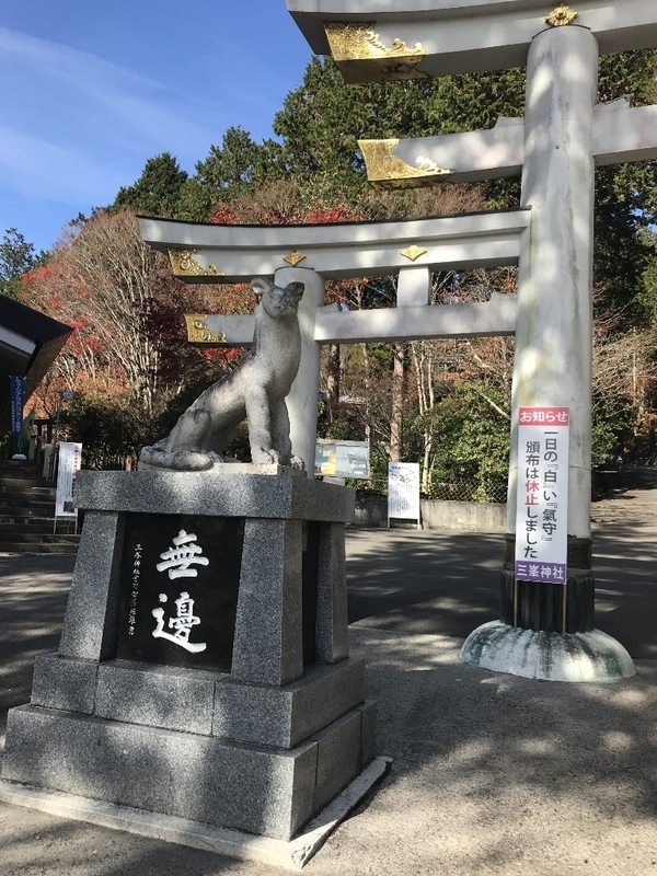 イメージ 6