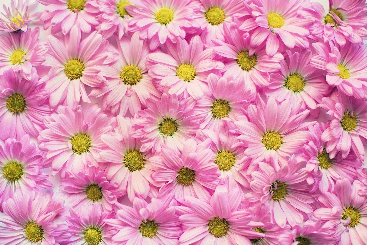 f:id:ERICA3:20201007232412j:plain f:id:ERICA3:20201007232412j:plain