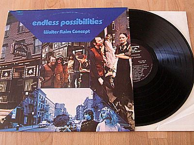 WALTER RAIM CONCEPT / ENDLESS POSSIBILITIES ( LP )