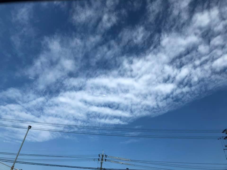 f:id:EVHA:20191017041607j:plain