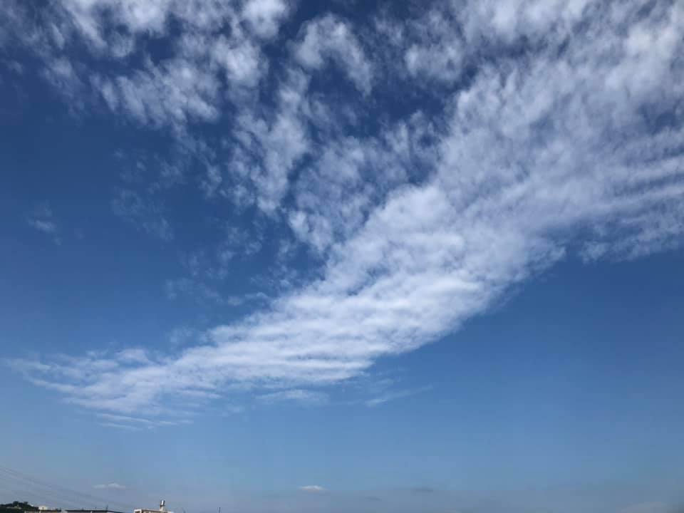 f:id:EVHA:20200109070555j:plain