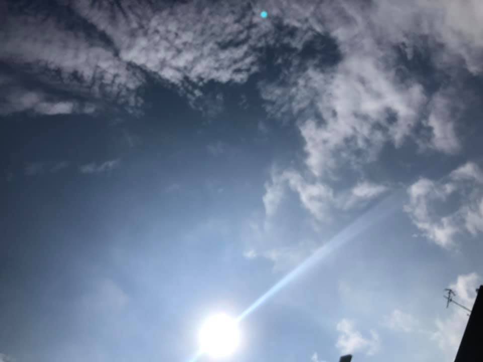 f:id:EVHA:20200209014830j:plain