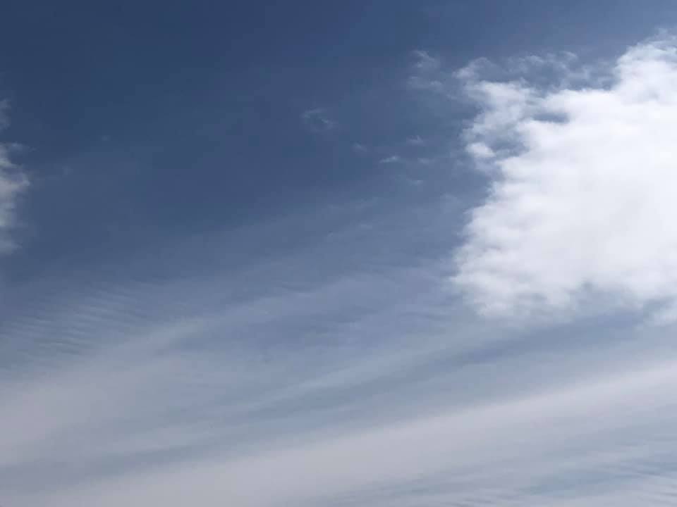 f:id:EVHA:20200416092439j:plain