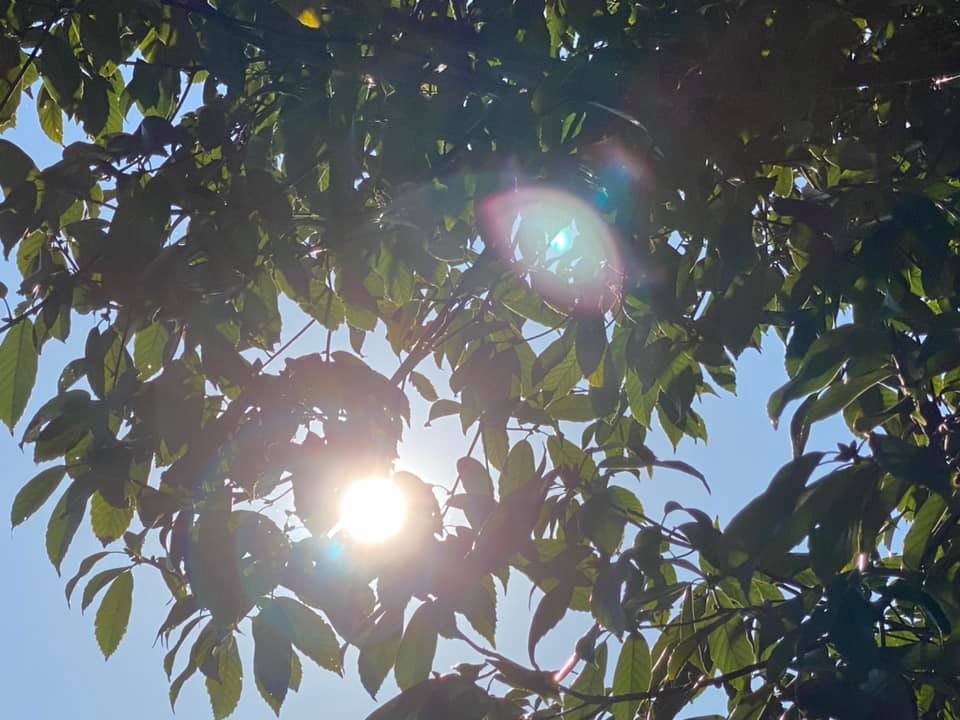 f:id:EVHA:20210415075351j:plain