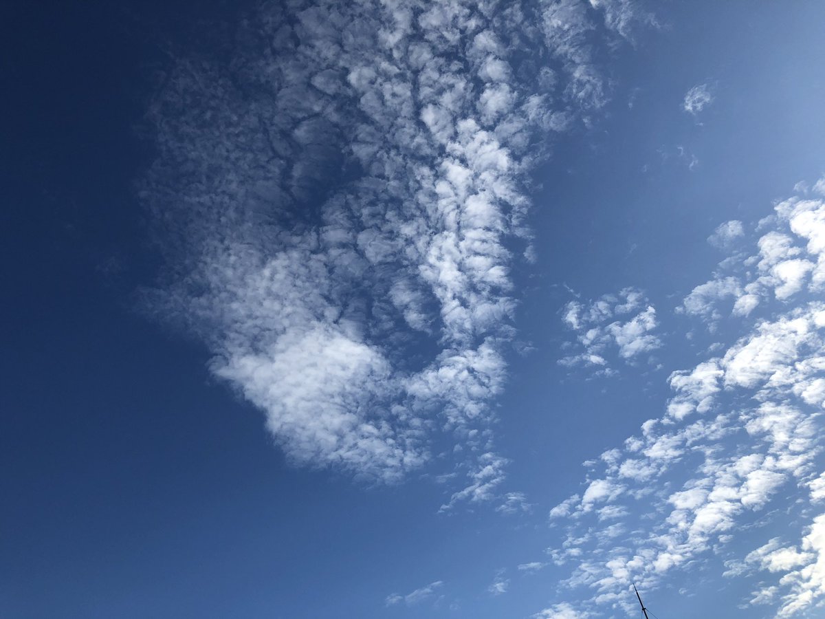 f:id:EVHA:20210424073401j:plain