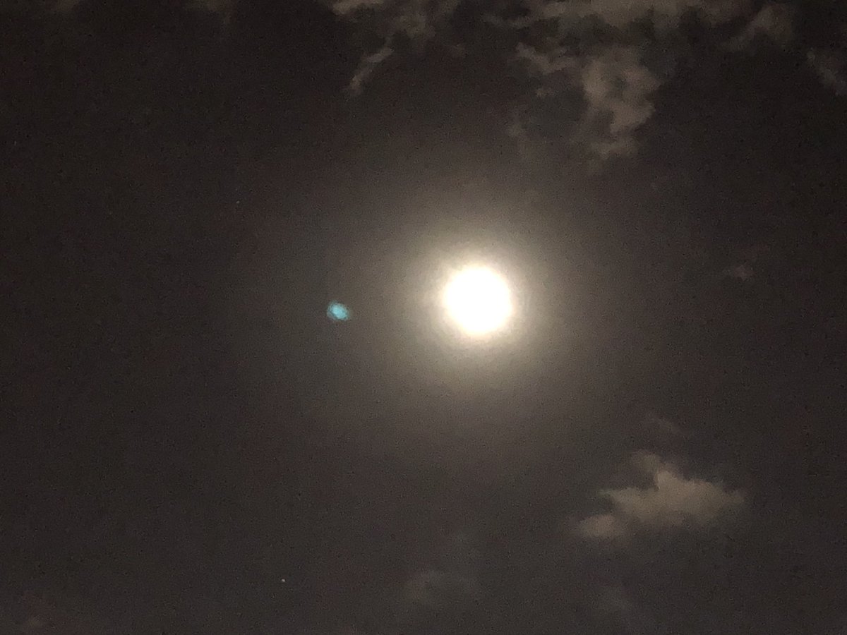 f:id:EVHA:20210607082523j:plain