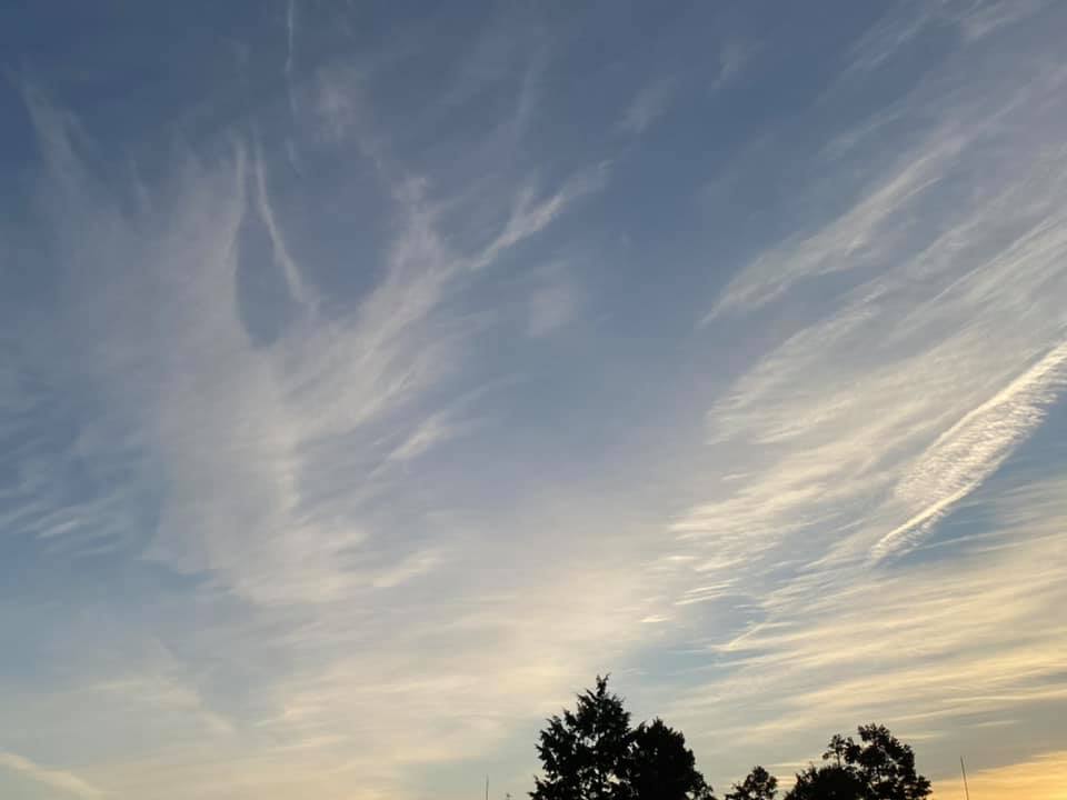 f:id:EVHA:20211122062928j:plain