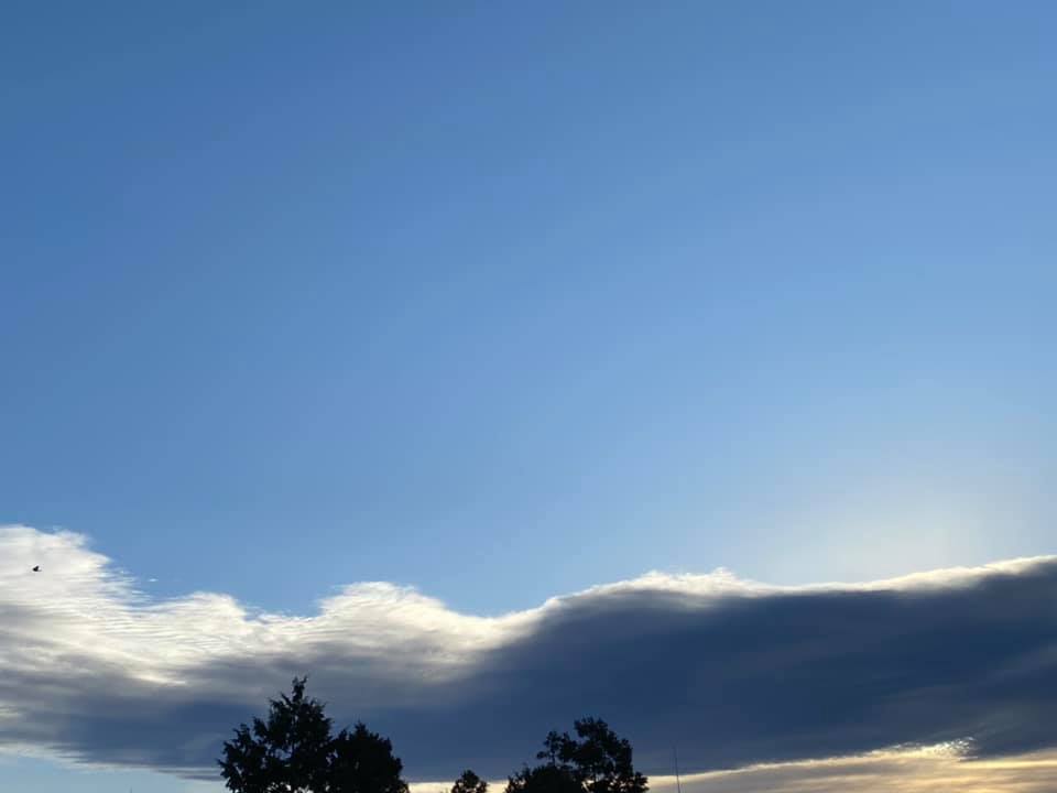 f:id:EVHA:20220203131700j:plain