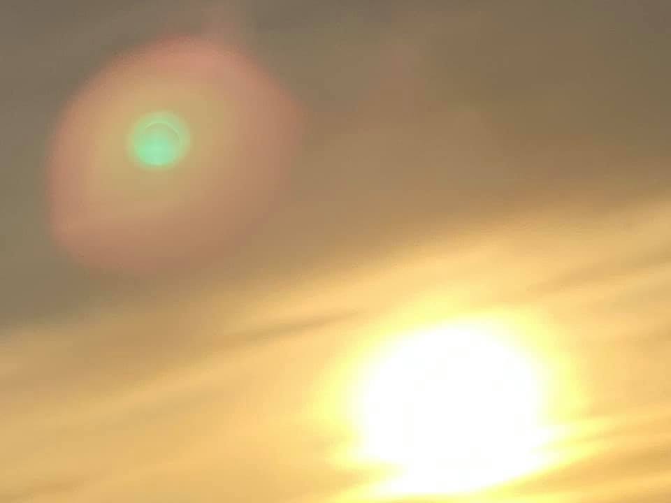 f:id:EVHA:20220207100937j:plain