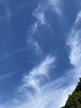 f:id:EVHA:20220211082341j:plain