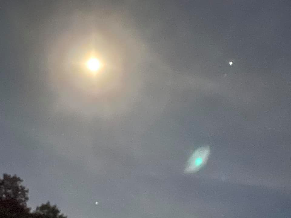 f:id:EVHA:20220222092630j:plain