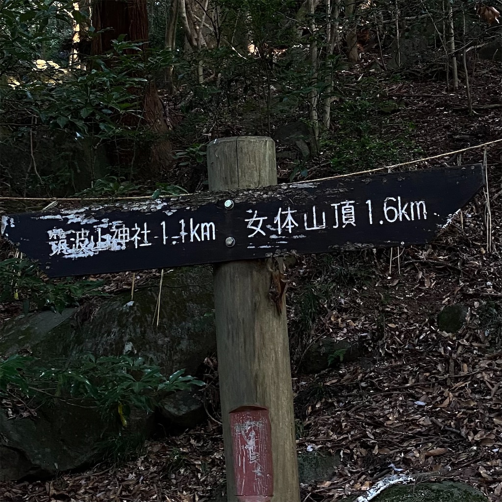 f:id:Eagle7:20210901224644j:image f:id:Eagle7:20210901224644j:image