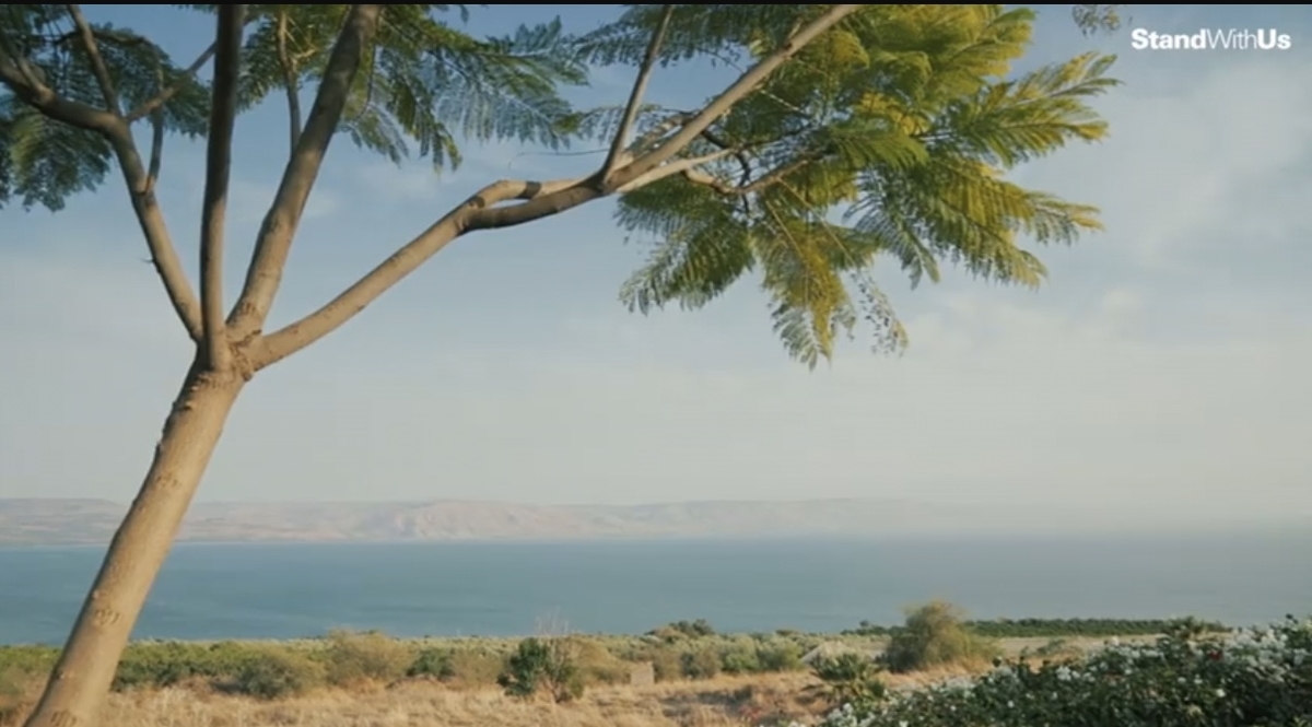 f:id:Eagles11:20201021000333j:plain