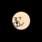 20161005094036