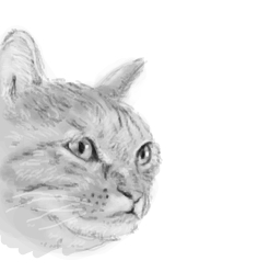 f:id:Eastkin:20200420174055j:plain