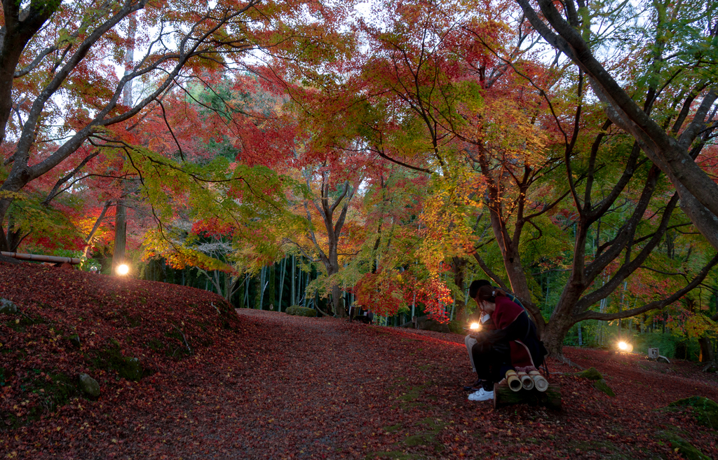 f:id:EasyGoing:20181122212436j:plain