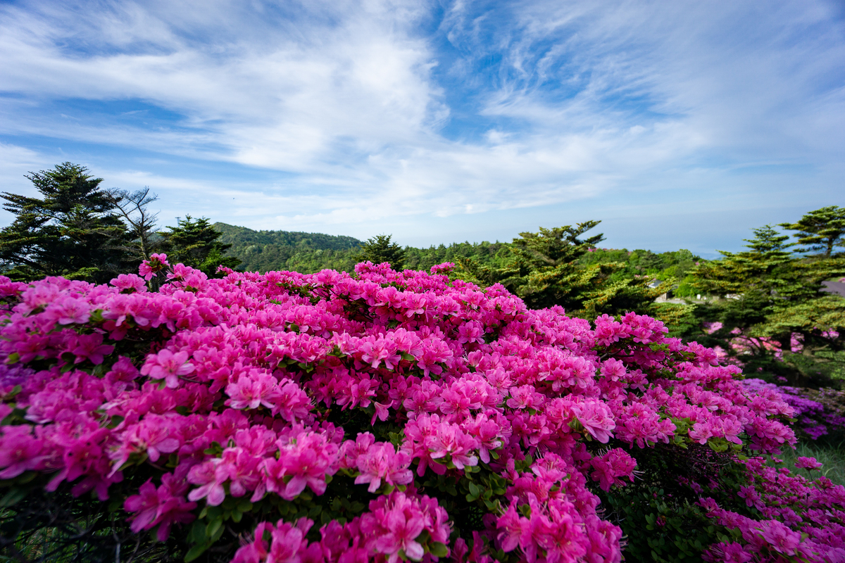 f:id:EasyGoing:20190517213234j:plain