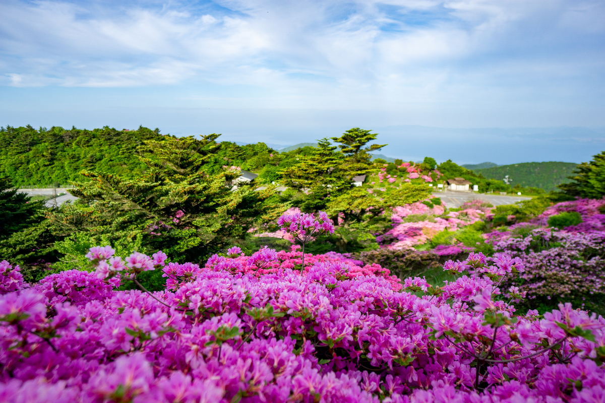 f:id:EasyGoing:20190517213300j:plain