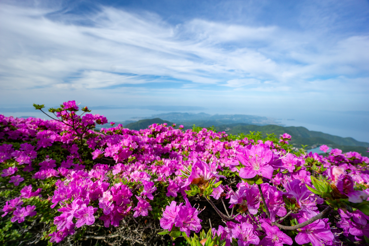 f:id:EasyGoing:20190517213727j:plain
