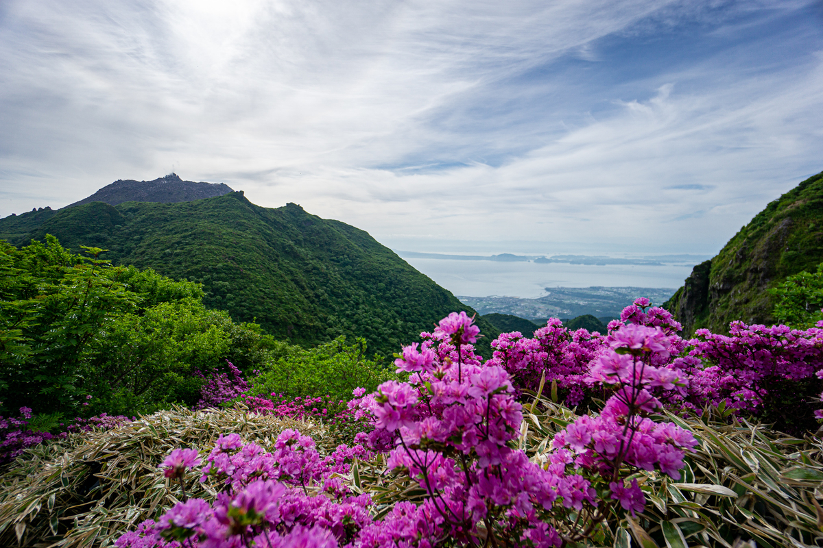 f:id:EasyGoing:20190517213758j:plain