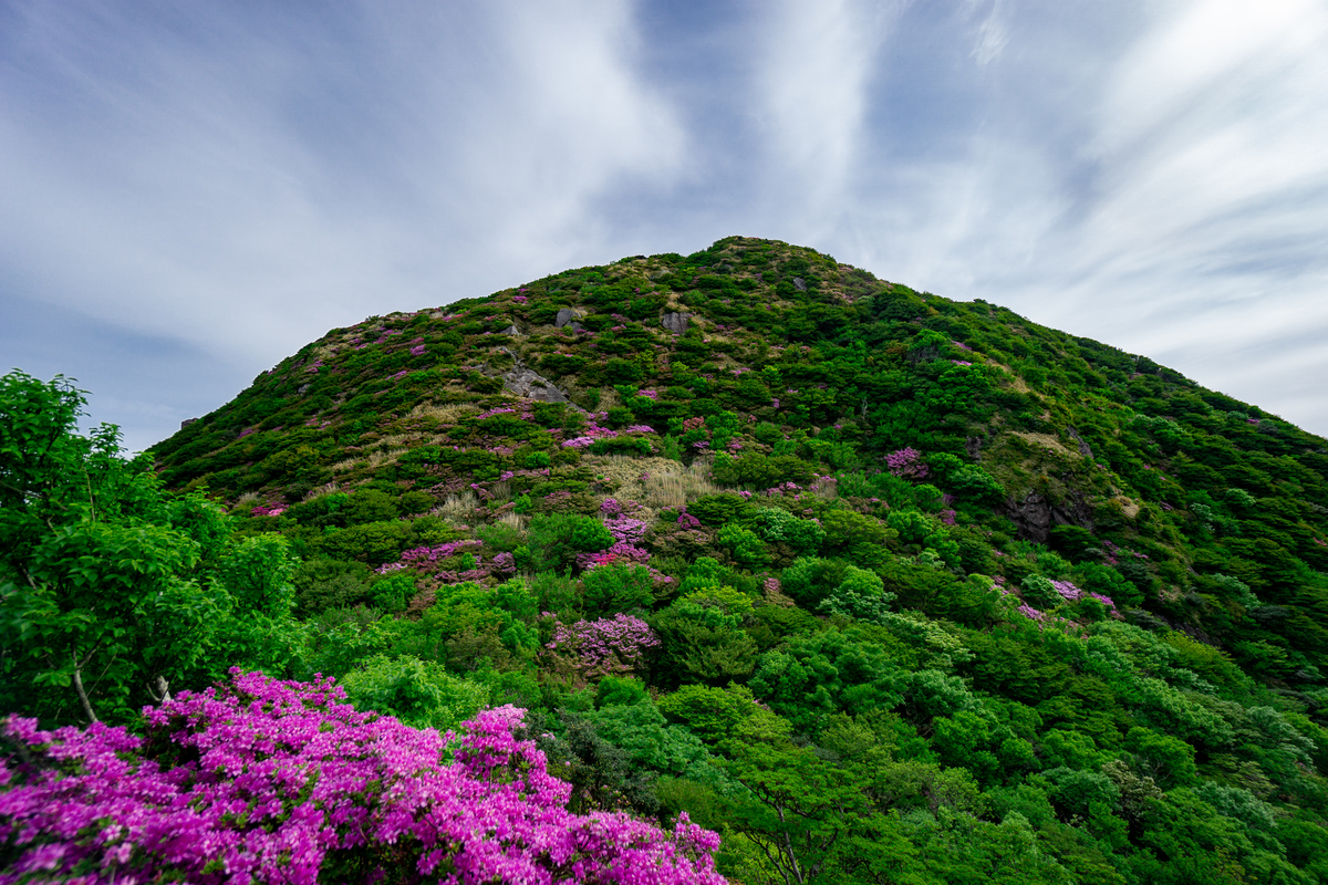 f:id:EasyGoing:20190517213856j:plain