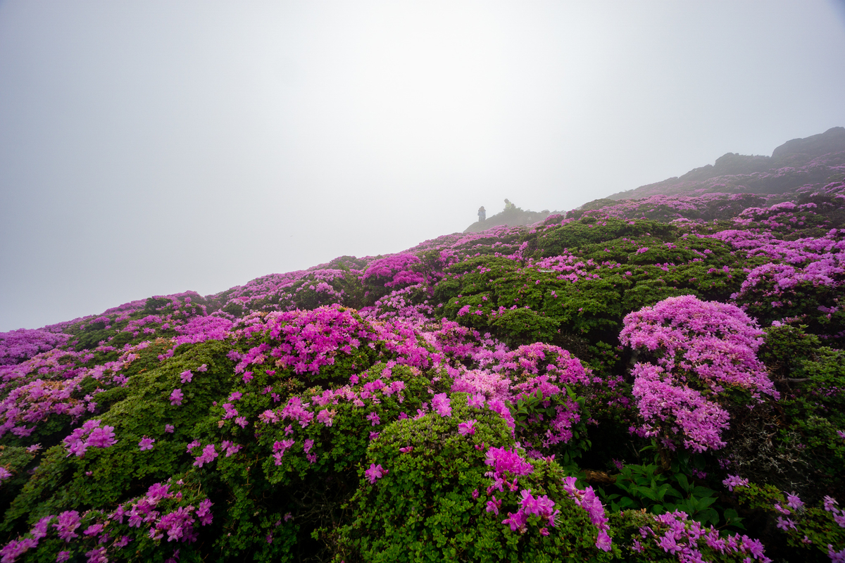 f:id:EasyGoing:20190607083408j:plain
