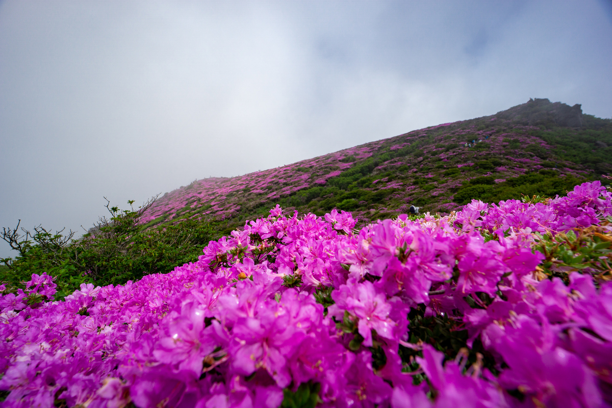 f:id:EasyGoing:20190607083542j:plain