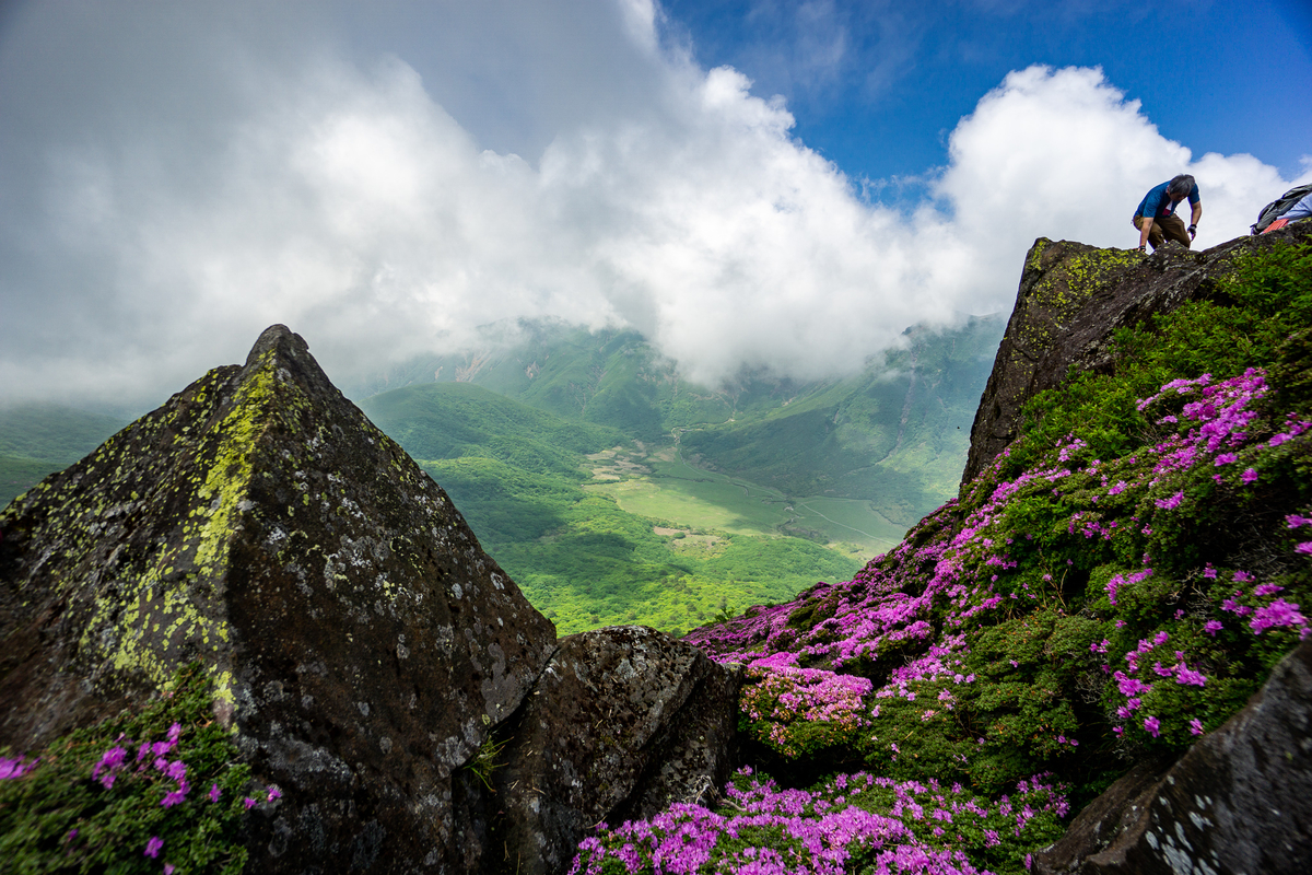 f:id:EasyGoing:20190607083717j:plain