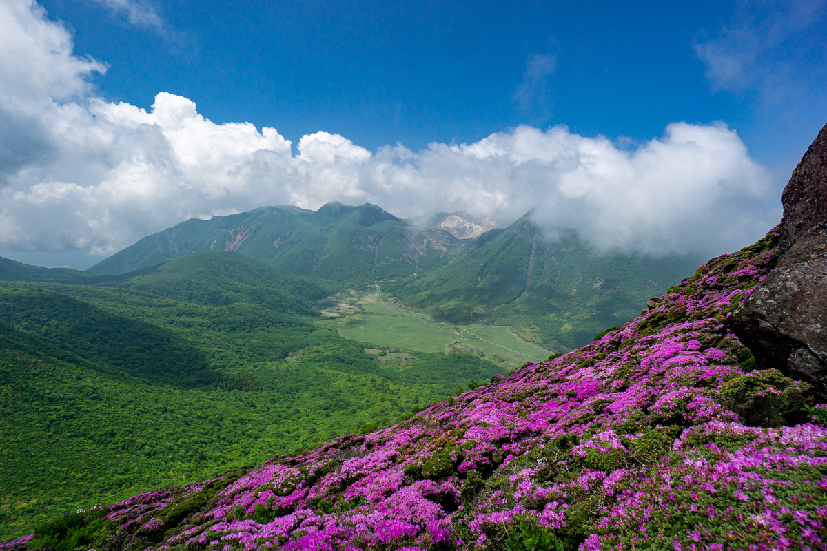 f:id:EasyGoing:20190607083751j:plain