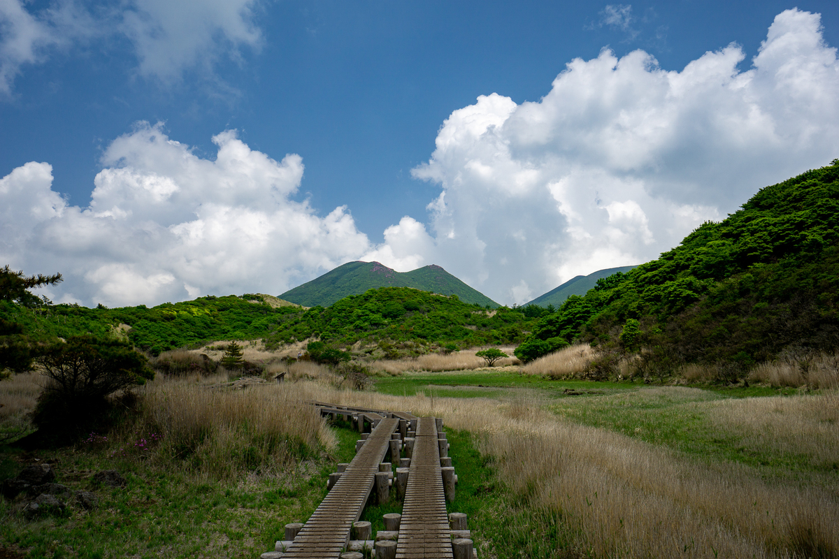 f:id:EasyGoing:20190607084137j:plain