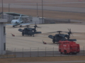 [航空自衛隊][UH-60J][U-125A]新潟空港送迎デッキより、新潟救難隊のエプロンを望む。