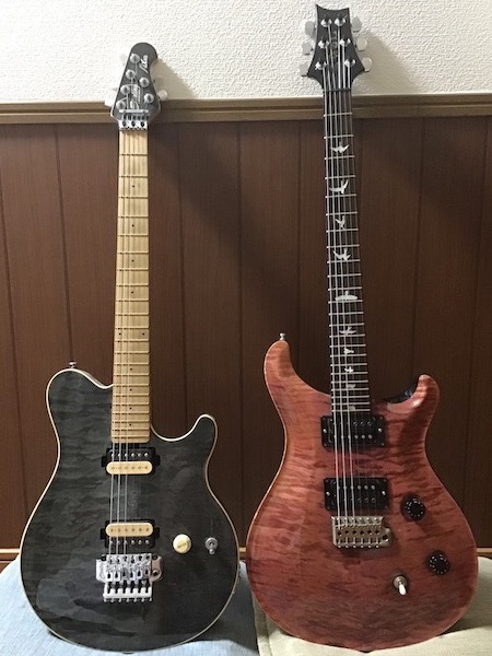 EVH Fernandes ディマジオ EVH Fernandes ディマジオ - メルカリ