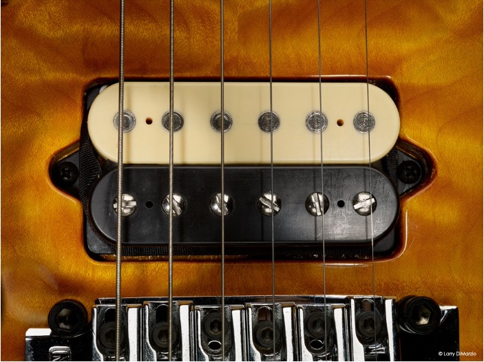 EVH Fernandes ディマジオ EVH Fernandes ディマジオ ギター