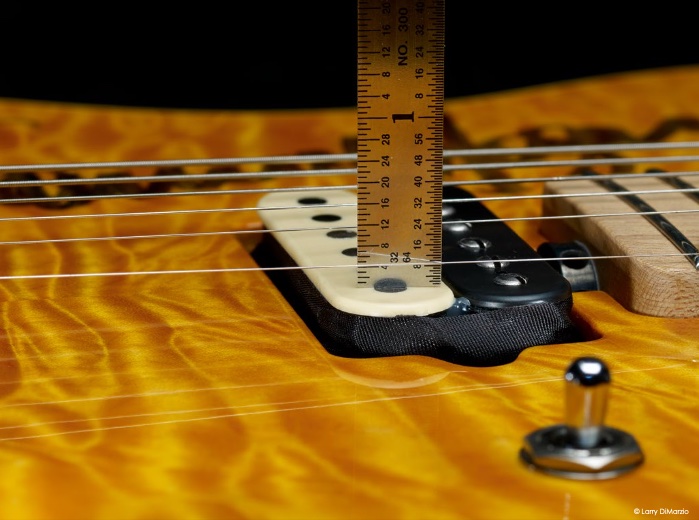 EVH Fernandes ディマジオ pj_61036_2.jpg