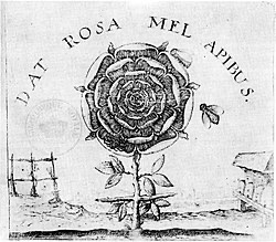 f:id:Effortsps:20220131185144j:plain