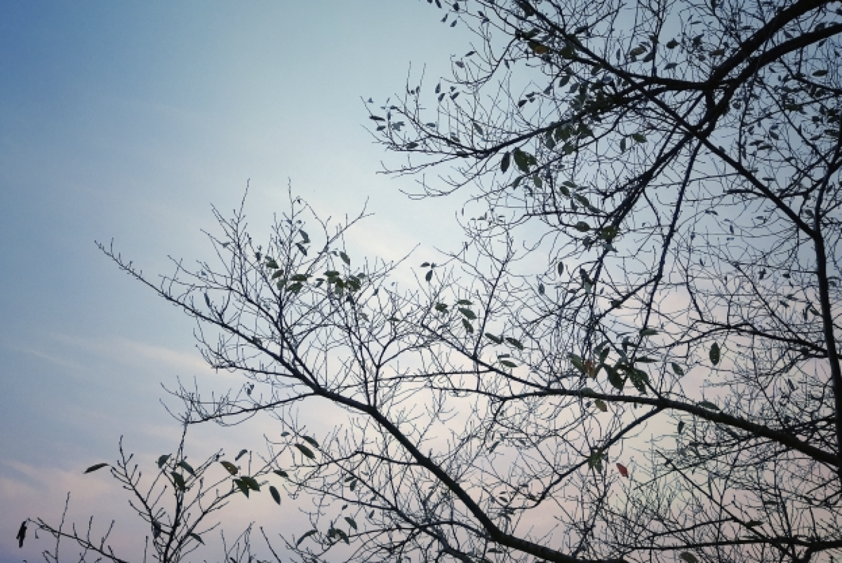 f:id:Eigonosuke:20201101221301p:plain