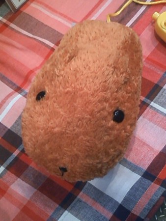 f:id:EijiYoshida:20090718153158j:image