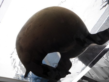 f:id:EijiYoshida:20120430124812j:image