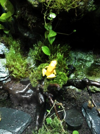 f:id:EijiYoshida:20120430135620j:image