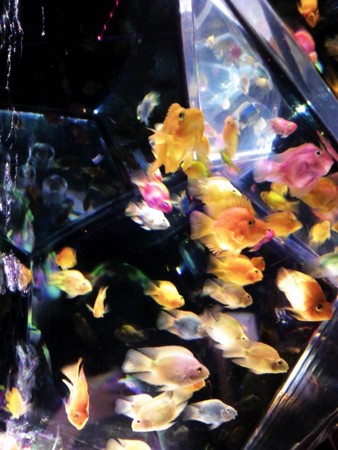f:id:EijiYoshida:20120922190727j:image