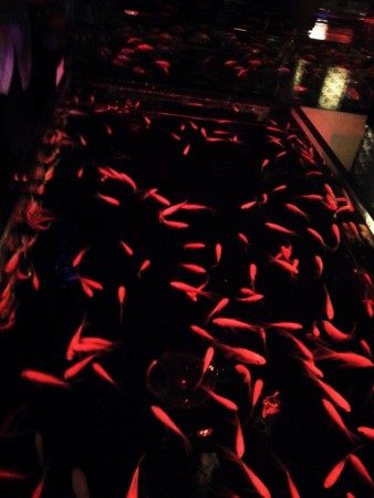 f:id:EijiYoshida:20120922191447j:image