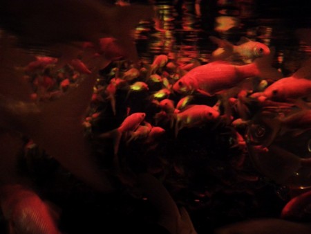 f:id:EijiYoshida:20120922191516j:image