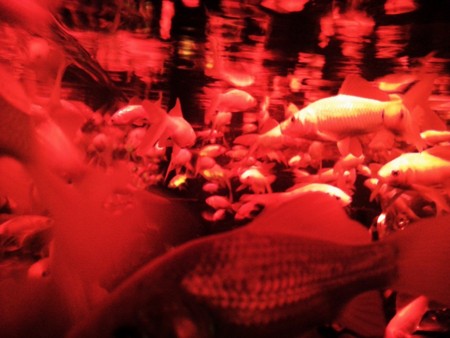 f:id:EijiYoshida:20120922191520j:image