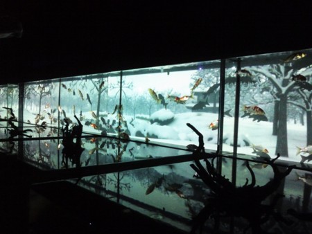 f:id:EijiYoshida:20120922194113j:image
