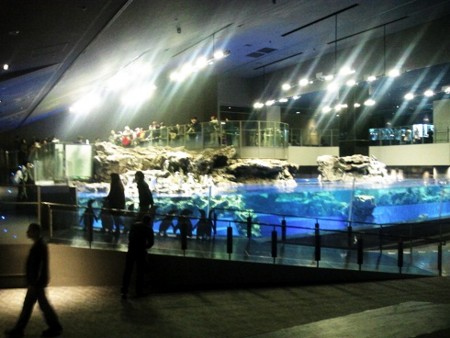 f:id:EijiYoshida:20121129060255j:image