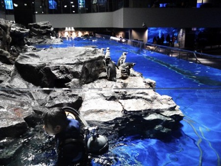 f:id:EijiYoshida:20121129061141j:image