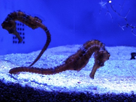 f:id:EijiYoshida:20121129061145j:image