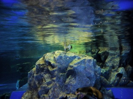 f:id:EijiYoshida:20121129061221j:image